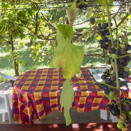 La Casa Sul Fiume Σπίτι διακοπών Sarzana