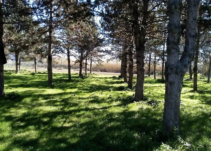 La Casa Sul Fiume Hébergement de vacances