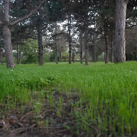 Дом отдыха La Casa Sul Fiume