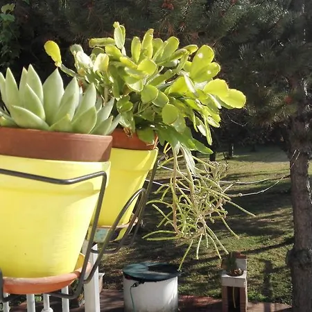 La Casa Sul Fiume Дом отдыха Сарцана