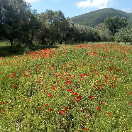 La Casa Sul Fiume Σπίτι διακοπών *