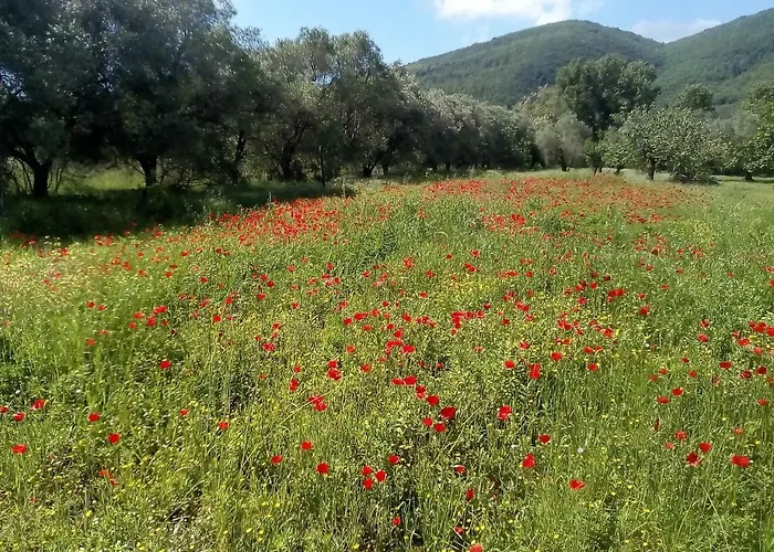 La Casa Sul Fiume بيت للعطل *